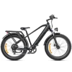 ENGWE E26 Elektrische Fiets – 140 km actieradius – 250W-motor - Afbeelding 4