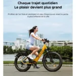 ENGWE E26 Elektrische Fiets – 140 km actieradius – 250W-motor - Afbeelding 3