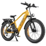 ENGWE E26 Elektrische Fiets - 140 km actieradius - 250W-motor